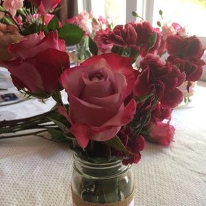 Meet your Posher, Ana